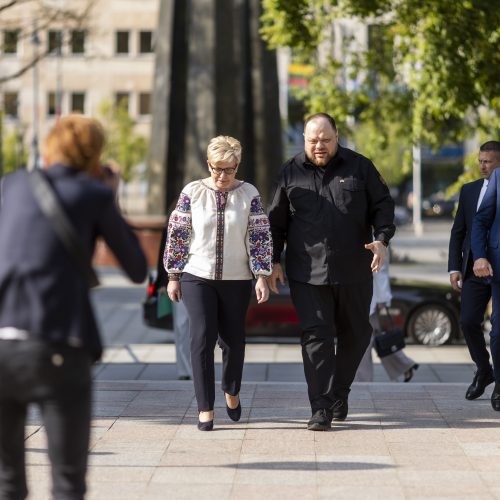 I. Šimonytė susitiko su Ukrainos Aukščiausiosios Rados Pirmininku R. Stefančiuku  © I. Gelūno/BNS nuotr..