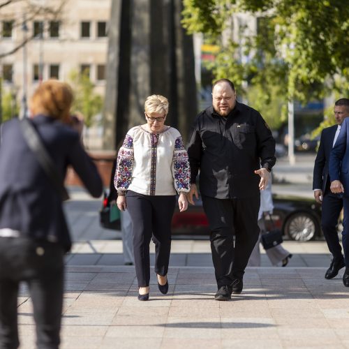 I. Šimonytė susitiko su Ukrainos Aukščiausiosios Rados Pirmininku R. Stefančiuku  © I. Gelūno/BNS nuotr..