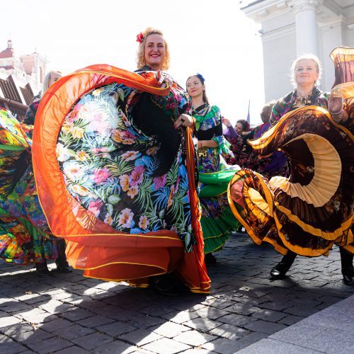 Kasmetinė tarptautinio romų festivalio „Gypsy Fest“ eisena