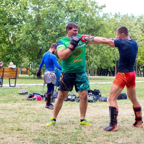 Atvira savigynos treniruotė Kalniečių parke  © Evaldo Šemioto nuotr.