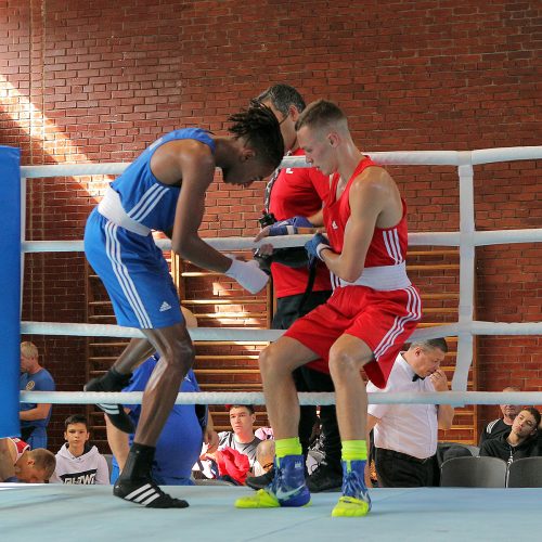 R. Tamulio bokso turnyro ketvirtfinaliai  © Evaldo Šemioto nuotr.