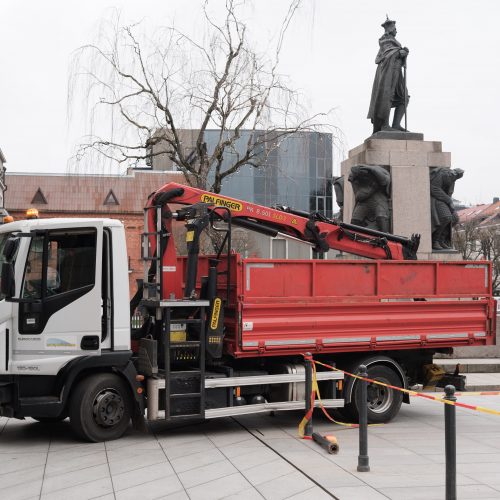 Naujai susodintos liepos Laisvės alėjoje  © Edgaro Cickevičiaus nuotr.