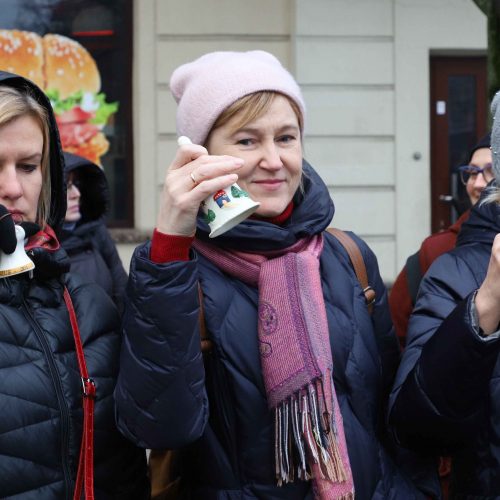 Protestas „Paskutinis skambutis“  © Vilijos Virkutytės, Pauliaus Peleckio/Fotobanko nuotr, Dainiaus Labučio (ELTA) nuotr.