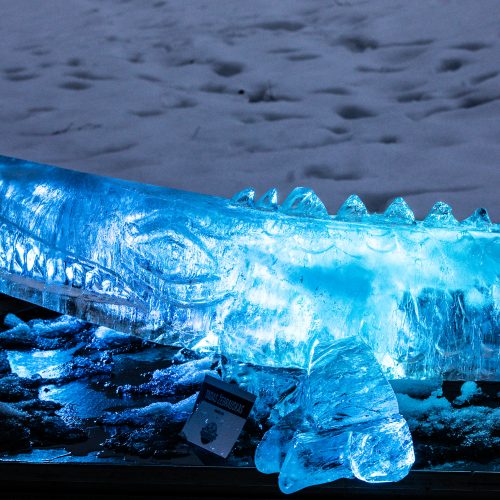 Ledo skulptūrų ir šviesų festivalis „Pasaka“  © Teodoro Biliūno/Fotobanko nuotr.