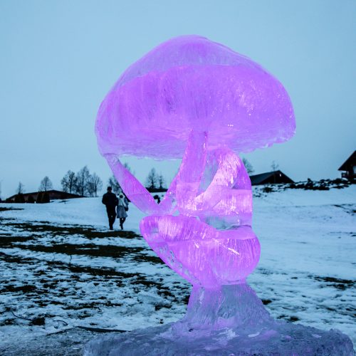 Ledo skulptūrų ir šviesų festivalis „Pasaka“  © Teodoro Biliūno/Fotobanko nuotr.