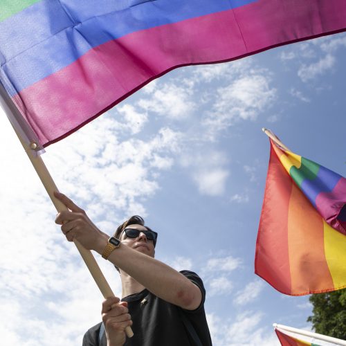 LGBT bendruomenė surengė prezidento padrąsinimo akciją  © P. Peleckio / Fotobanko nuotr.