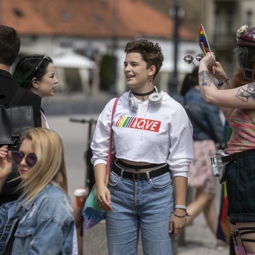 Vilniuje – LGBT solidarumo eitynės  © P. Peleckio / Fotobanko nuotr.