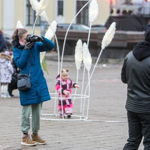 Sekmadienio dieną kauniečiai apžiūrinėja Kalėdų eglę  © Vilmanto Raupelio nuotr.