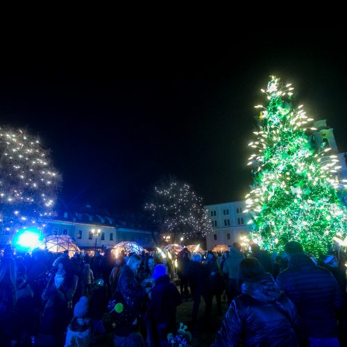 Para po Kauno žaliaskarės įžiebimo: smalsuoliai plūsta būriais  © Vilmanto Raupelio nuotr.