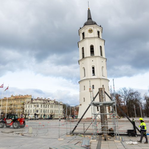 Vilniaus Kalėdų eglės statymo darbai  © S. Lisausko / BNS nuotr.