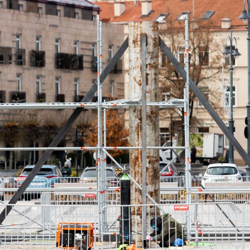 Vilniaus Kalėdų eglės statymo darbai  © S. Lisausko / BNS nuotr.