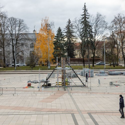 Vilniaus Kalėdų eglės statymo darbai  © S. Lisausko / BNS nuotr.