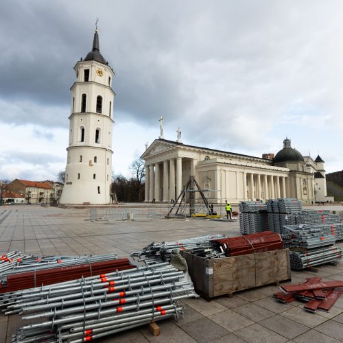 Vilniaus Kalėdų eglės statymo darbai  © S. Lisausko / BNS nuotr.