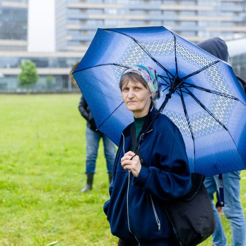 Šeimų sąjūdžio protestas prie Seimo  © L. Balandžio / BNS nuotr.