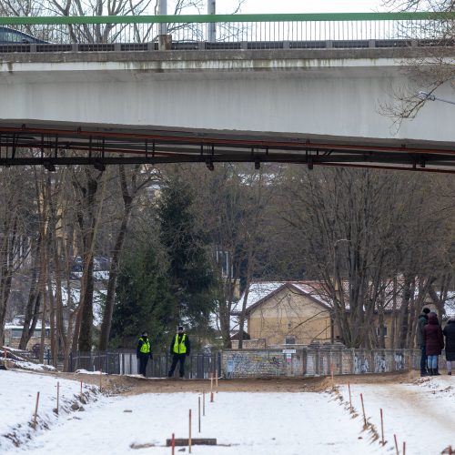 Tęsiama dingusio 15-mečio paieška Vilniuje  © Butauto Barausko, L. Balandžio / BNS nuotr.