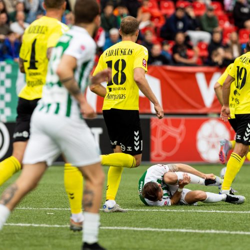 A lyga: Vilniaus „Žalgiris“ - FA „Šiauliai“  © Ž. Gedvilos / BNS nuotr.