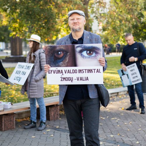 Protestas „Stabdykime gyvenimo įgūdžių ugdymo programą: NE ideologijai švietime!“  © S. Lisausko / BNS nuotr.