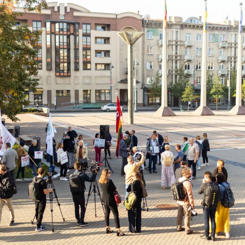 Protestas „Stabdykime gyvenimo įgūdžių ugdymo programą: NE ideologijai švietime!“  © S. Lisausko / BNS nuotr.
