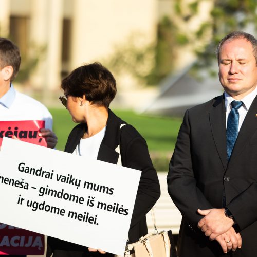 Protestas „Stabdykime gyvenimo įgūdžių ugdymo programą: NE ideologijai švietime!“  © S. Lisausko / BNS nuotr.