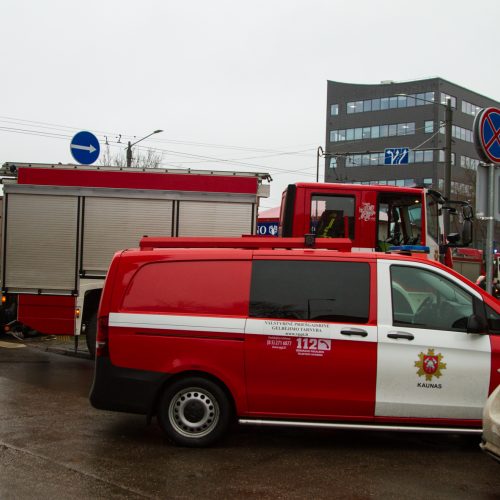 Žaliakalnio verslo centre kilo gaisras  © Laimio Steponavičiaus nuotr.