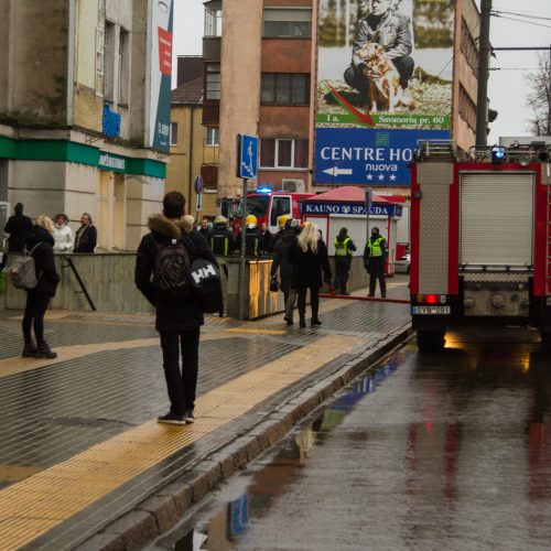 Žaliakalnio verslo centre kilo gaisras  © Laimio Steponavičiaus nuotr.