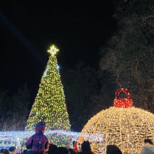 Biržuose sužibo žaliaskarė  © Biržų savivaldybės nuotr.