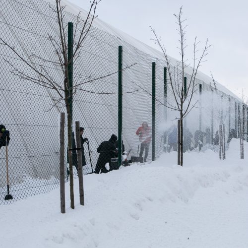 Sniego kasimo talka aplink Pilaitės maniežą  © Pauliaus Peleckio / BNS nuotr.