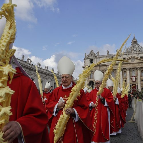 Popiežius Pranciškus palaimino palmių šakeles  © Scanpix nuotr.