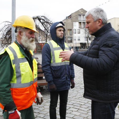 Pradėta montuoti Klaipėdos eglutė  © Vytauto Liaudanskio nuotr.