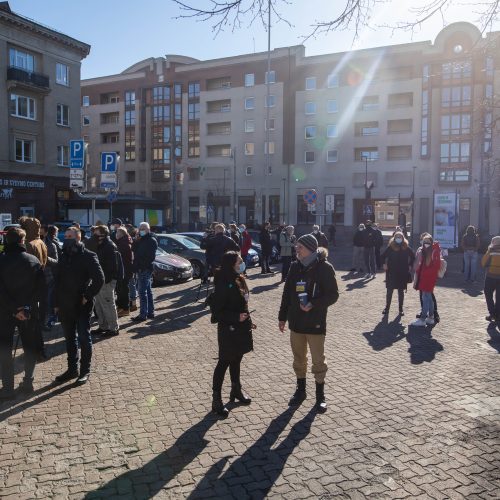 Prie Seimo – protestas dėl vairavimo egzaminų atnaujinimo  © I. Gelūno / Fotobanko nuotr.