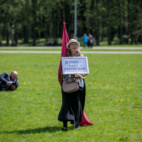 Vingio parke renkasi „Didžiojo šeimos gynimo maršo“ dalyviai  © Vilmanto Raupelio nuotr.