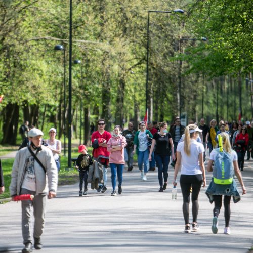 „Didysis šeimos gynimo maršas“ Vingio parke  © Vilmanto Raupelio nuotr.