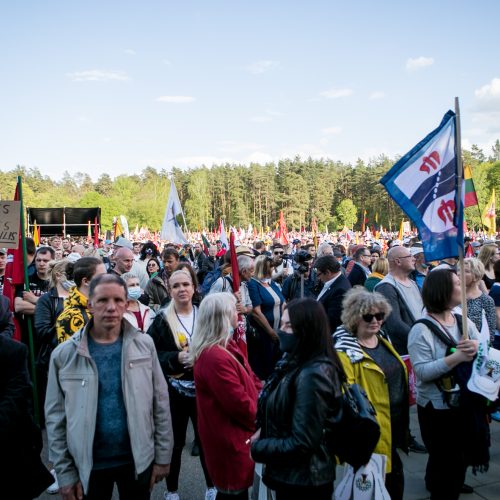 „Didysis šeimos gynimo maršas“ Vingio parke  © Vilmanto Raupelio nuotr.