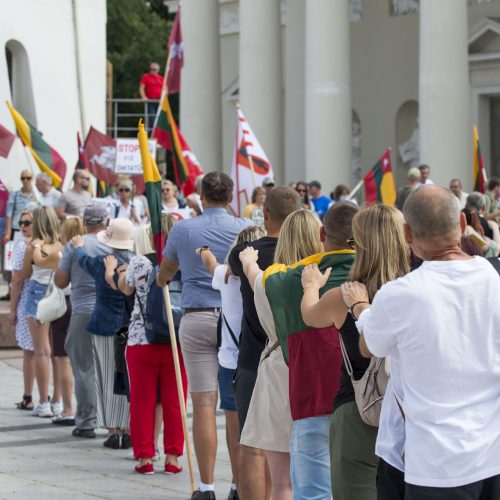 Protestas prieš privalomą testavimą ir skiepus  © Butauto Barausko nuotr.