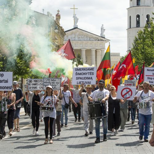 Protestas prieš privalomą testavimą ir skiepus  © Butauto Barausko nuotr.