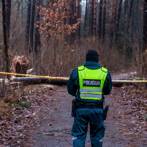 Dėl sprogmens Kleboniškio miške – tarnybų sujudimas  © Laimio Steponavičiaus nuotr.