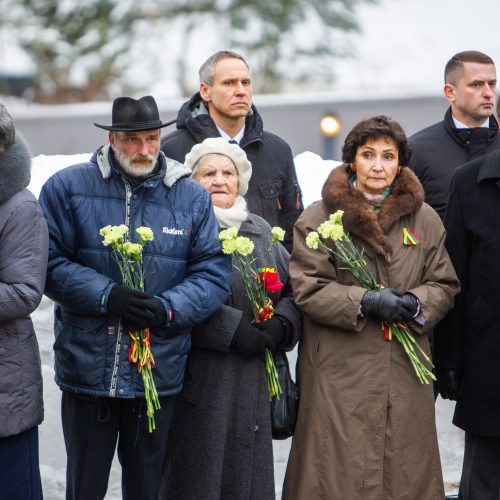 Žuvusiųjų pagerbimo ceremonija  © D. Labučio (ELTA), Irmanto Gelūno (BFL) nuotr.