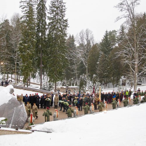 Žuvusiųjų pagerbimo ceremonija  © D. Labučio (ELTA), Irmanto Gelūno (BFL) nuotr.