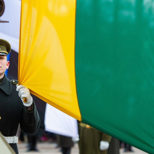 Šventinis trijų Baltijos valstybių pakėlimo ceremonija ir trispalvės nešimas   © Irmanto Gelūno / Fotobanko nuotr.