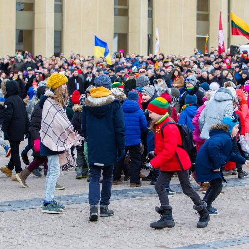 Šventinis trijų Baltijos valstybių pakėlimo ceremonija ir trispalvės nešimas   © Irmanto Gelūno / Fotobanko nuotr.