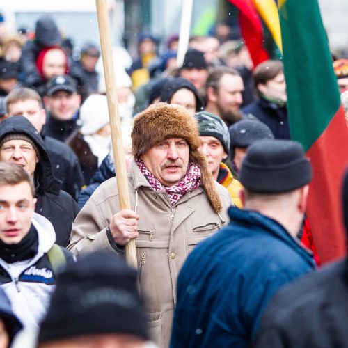 Šventinis trijų Baltijos valstybių pakėlimo ceremonija ir trispalvės nešimas   © Irmanto Gelūno / Fotobanko nuotr.