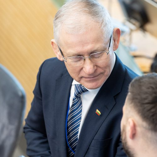 Seimas susirinko į neeilinę sesiją  © P. Paleckio/BNS nuotr.