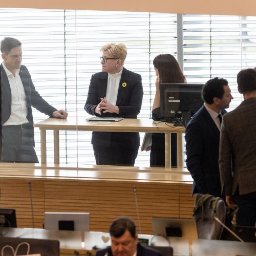 Seimas susirinko į neeilinę sesiją  © P. Paleckio/BNS nuotr.