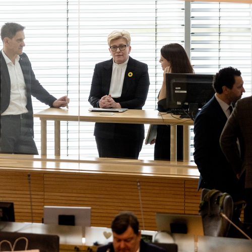 Seimas susirinko į neeilinę sesiją  © P. Paleckio/BNS nuotr.