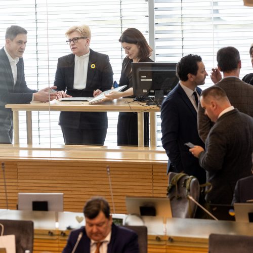 Seimas susirinko į neeilinę sesiją  © P. Paleckio/BNS nuotr.