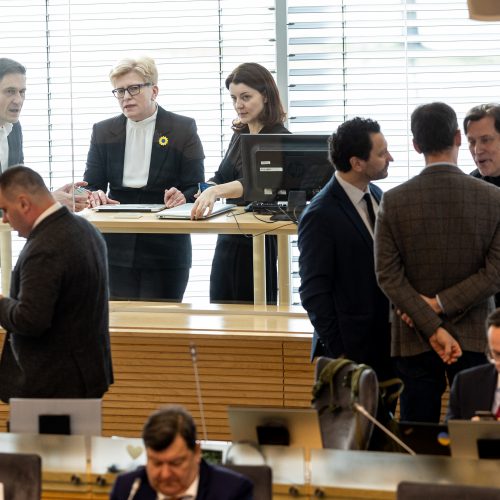 Seimas susirinko į neeilinę sesiją  © P. Paleckio/BNS nuotr.