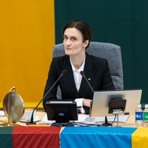 Seimas susirinko į neeilinę sesiją  © P. Paleckio/BNS nuotr.