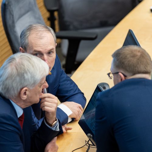 Seimas susirinko į neeilinę sesiją  © P. Paleckio/BNS nuotr.