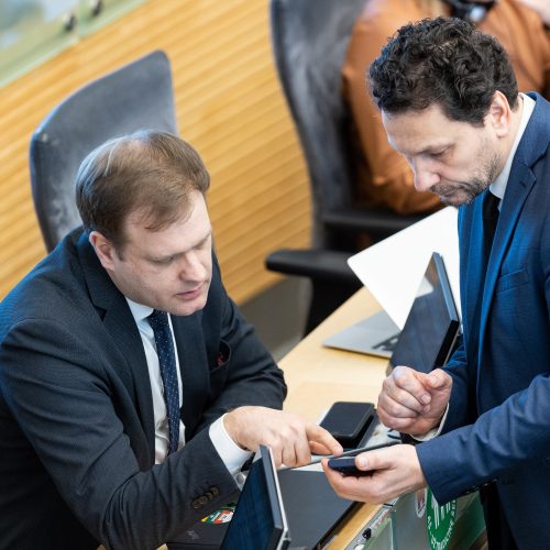 Seimas susirinko į neeilinę sesiją  © P. Paleckio/BNS nuotr.