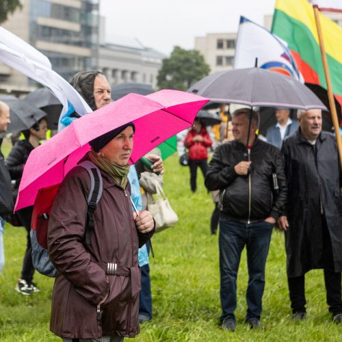 Šeimų sąjūdžio protestas prie Seimo  © L. Balandžio / BNS nuotr.